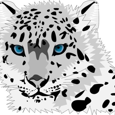 Leopards Thumbnail
