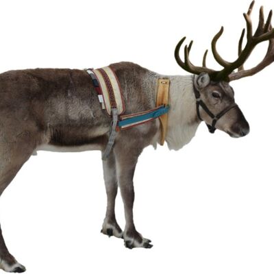 630F4FAA 3855 47F9 97AB EEC7D59283C4 Thumbnail